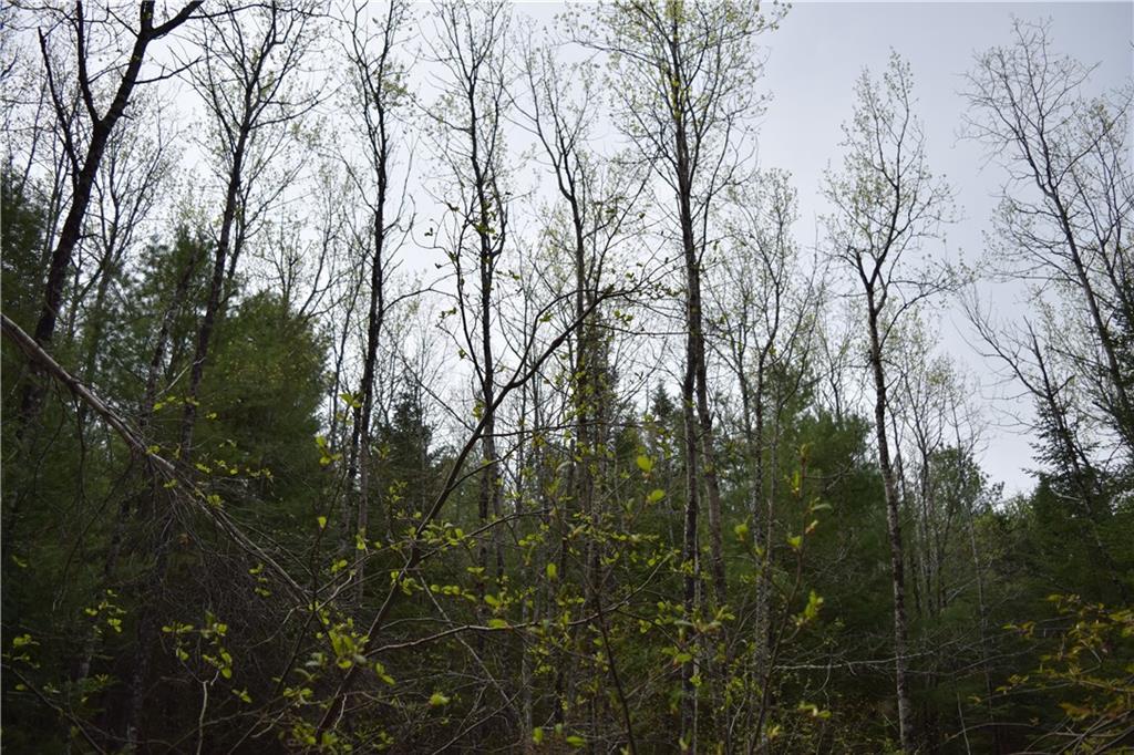 Map 403-lo Map 403-lo Road Thomaston, ME 04861 - Photo 4 of 11 Land
