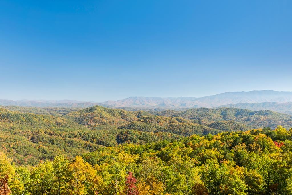 706 Shell Mountain Road Sevierville, TN 37876 - Photo 32 of 32 Gallery Image 32