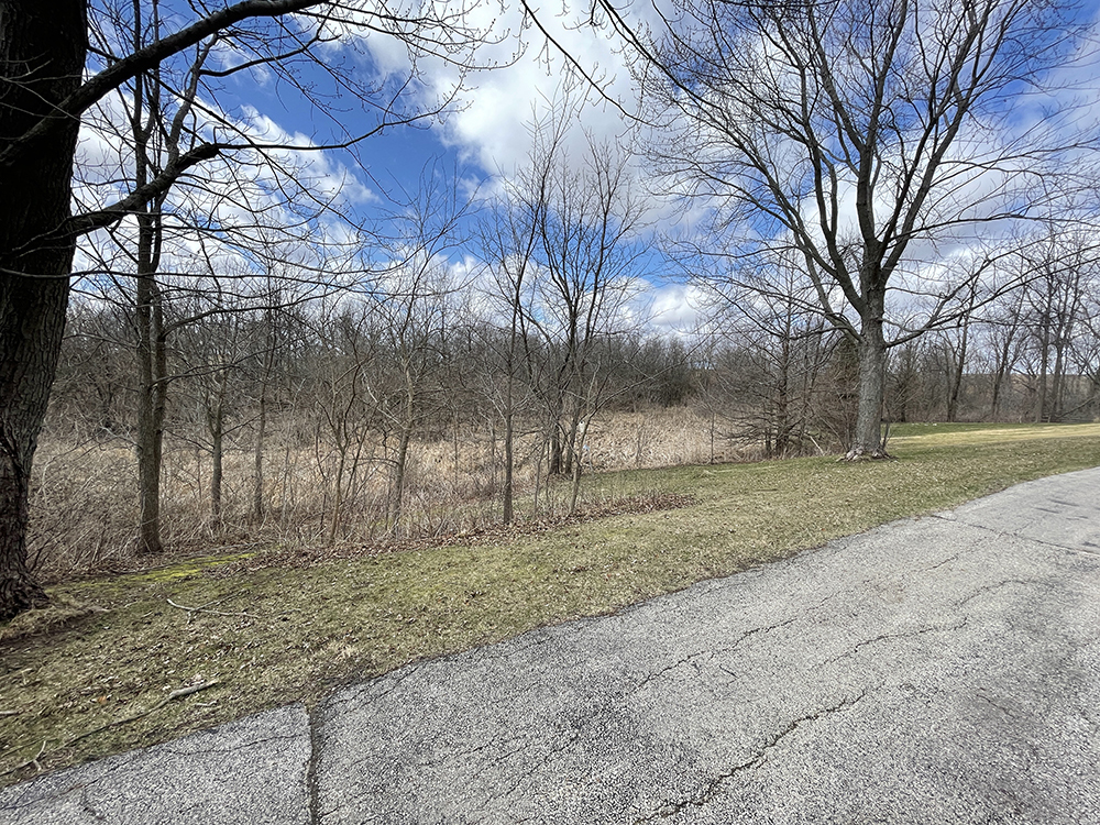 18474 Holly Road Morrison, IL 61270 - Photo 9 of 45 a backyard of a house with lots of green space