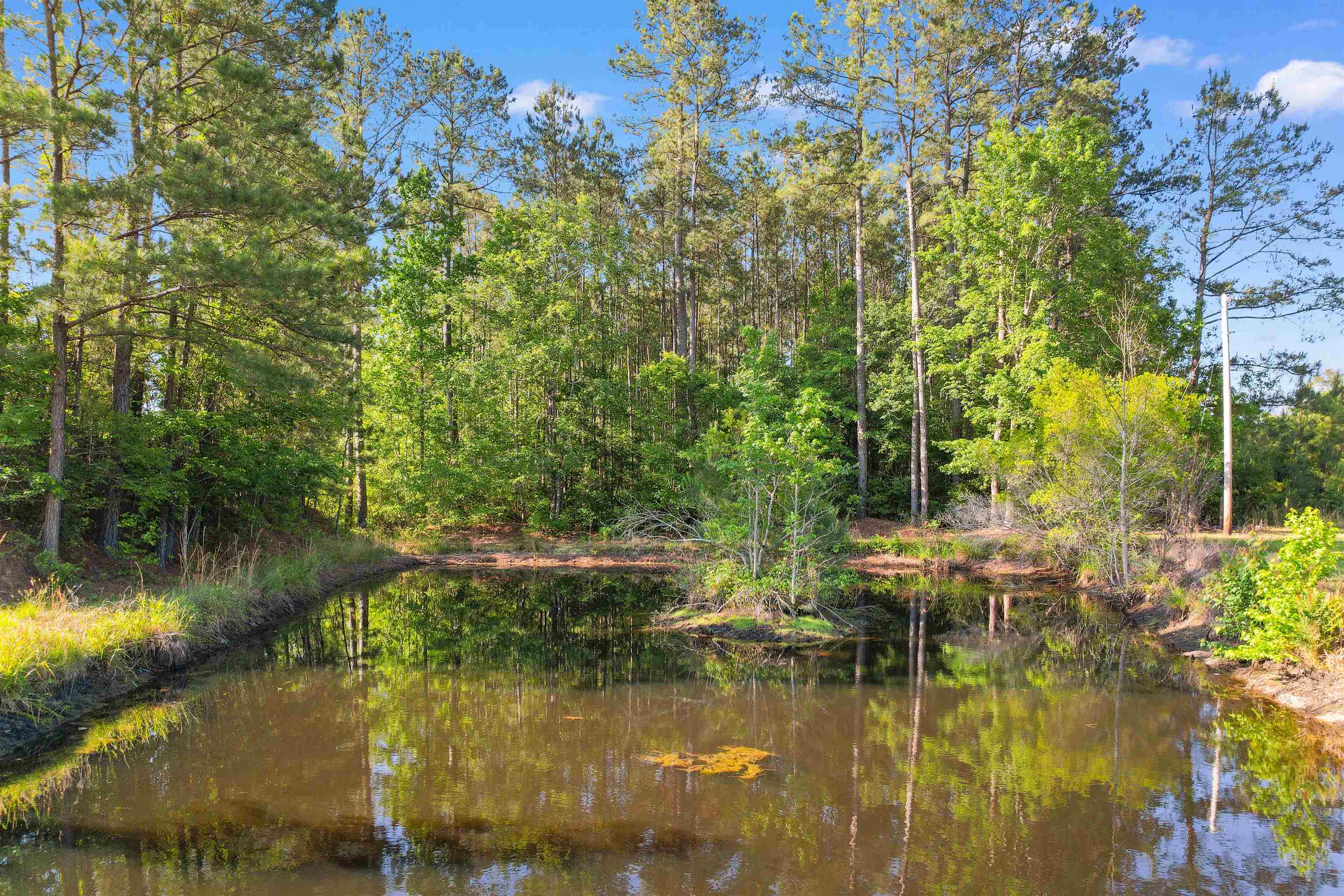 1040 Wee Tee Road Andrews, SC 29510 - Photo 6 of 55
