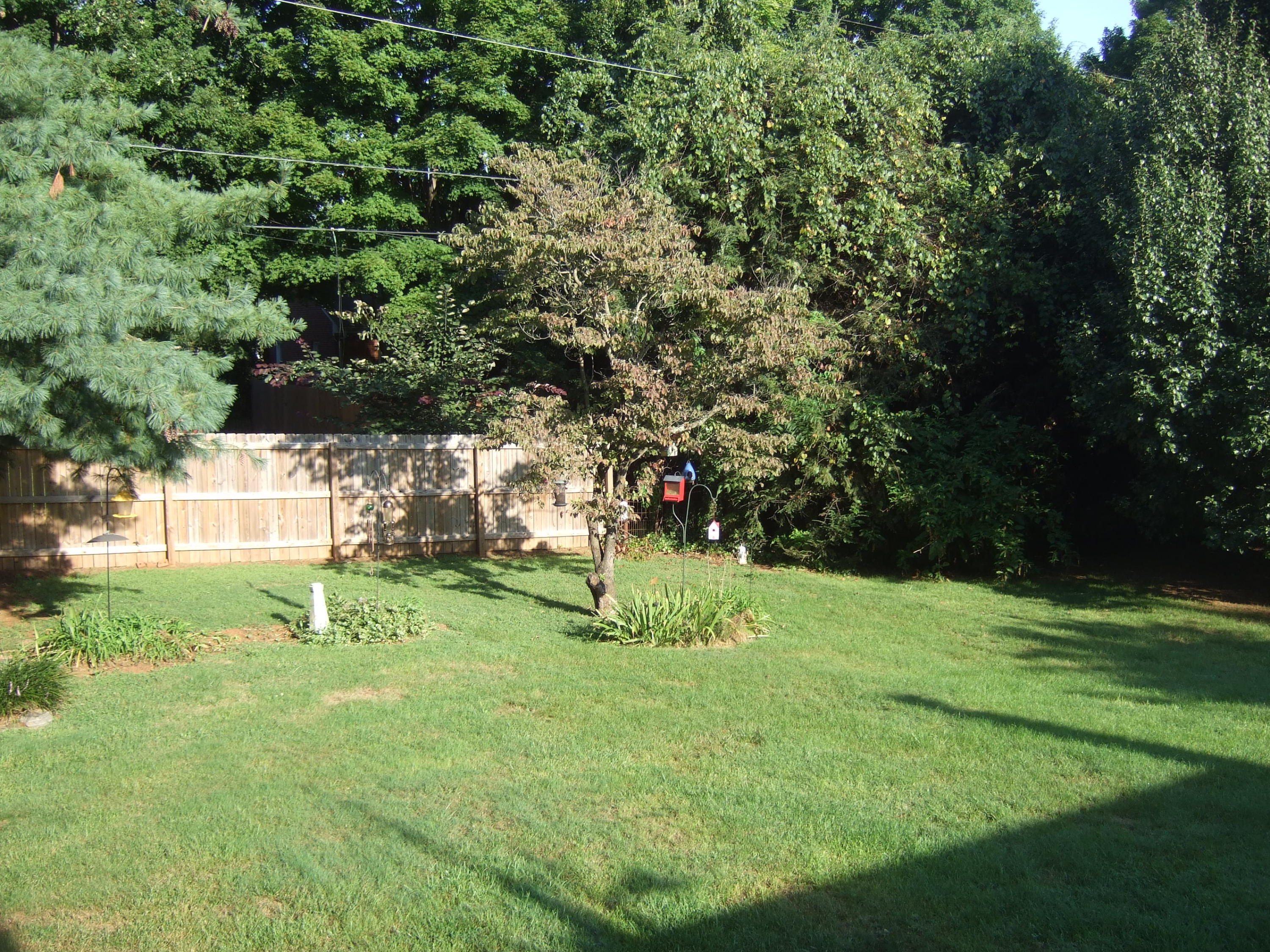 2367 Idavere Road Southwest Roanoke, VA 24015 - Photo 4 of 26 Great yard