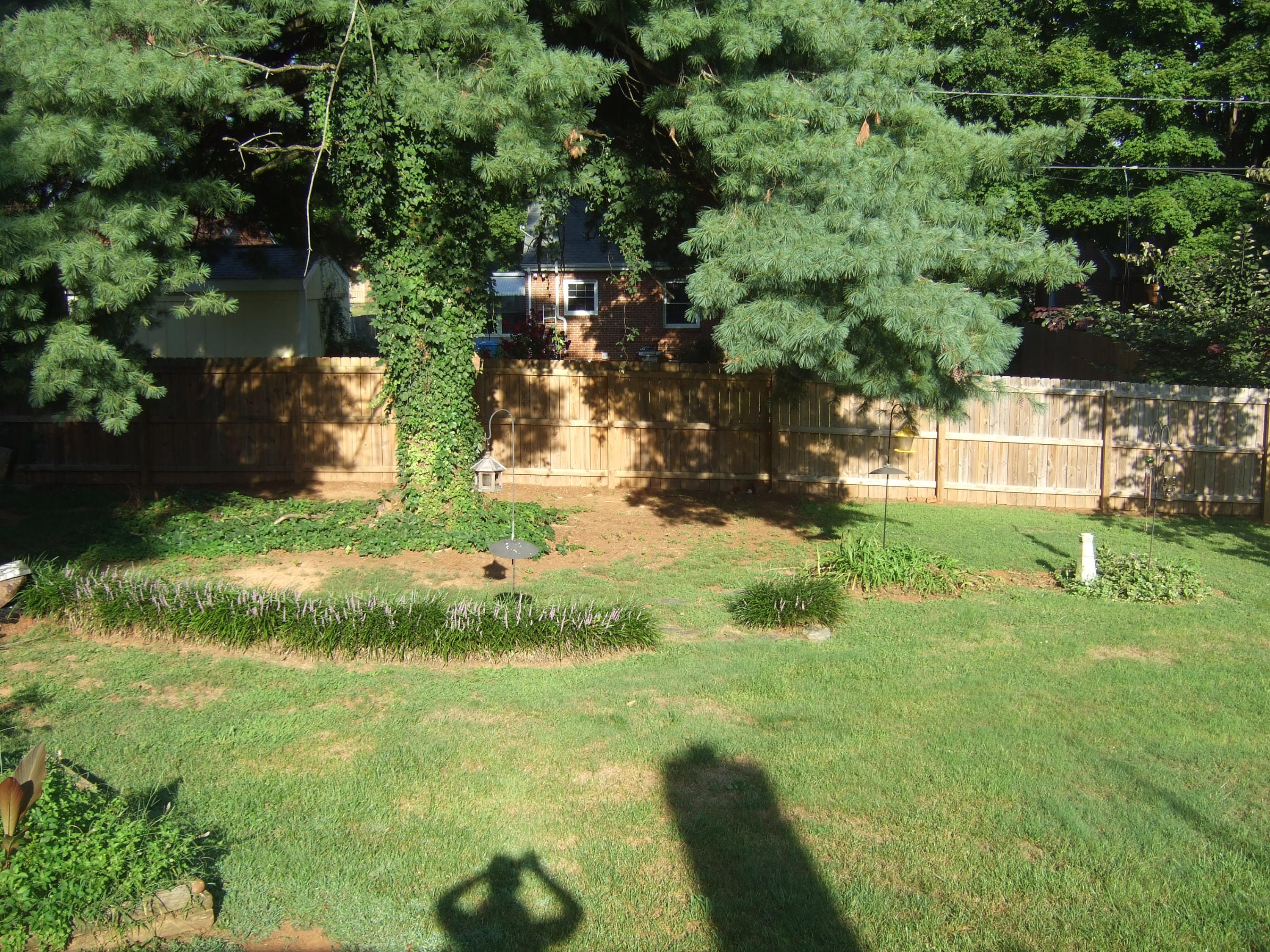 2367 Idavere Road Southwest Roanoke, VA 24015 - Photo 5 of 26 Great yard