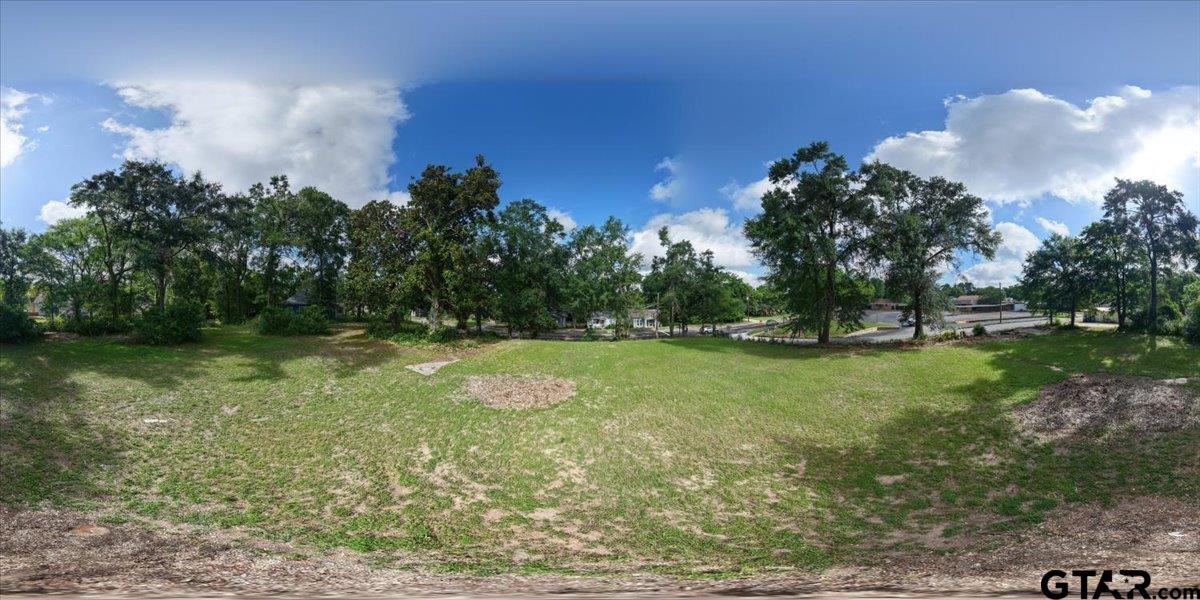 262 North Henderson Street Rusk, TX 75785 - Photo 11 of 11