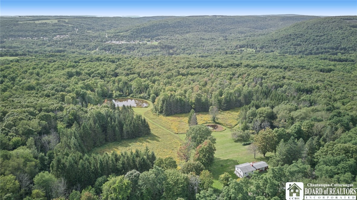 7607 Stateland Road New Albion, NY 14719 - Photo 6 of 44 Gallery Image 6