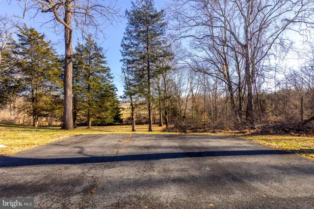 a view of a yard with large trees