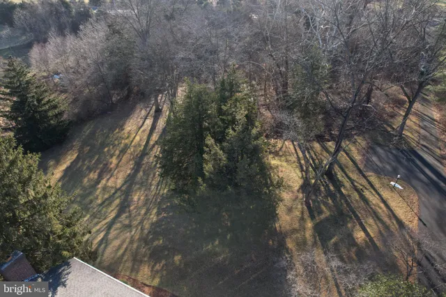 a view of road with trees