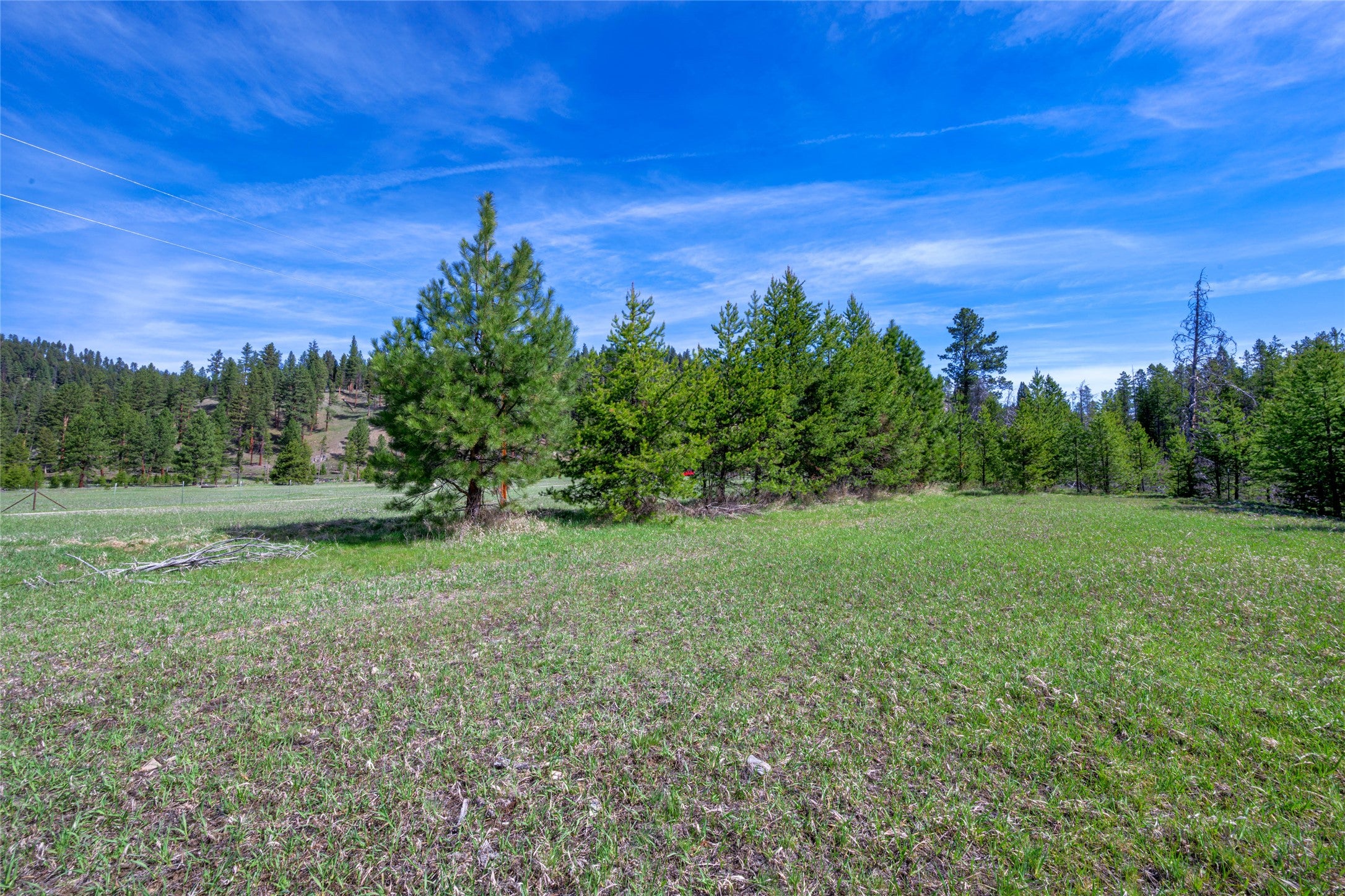 2766 East Fork Road Sula, MT 59871 - Photo 9 of 46 Gallery Image 9