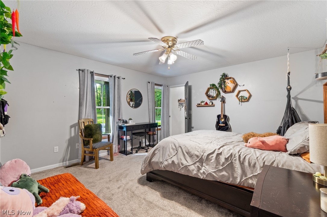 2119 Johns Road Clinton, OH 44216 - Photo 36 of 48 Recessed lighting, ceiling fan, and carpeted flooring