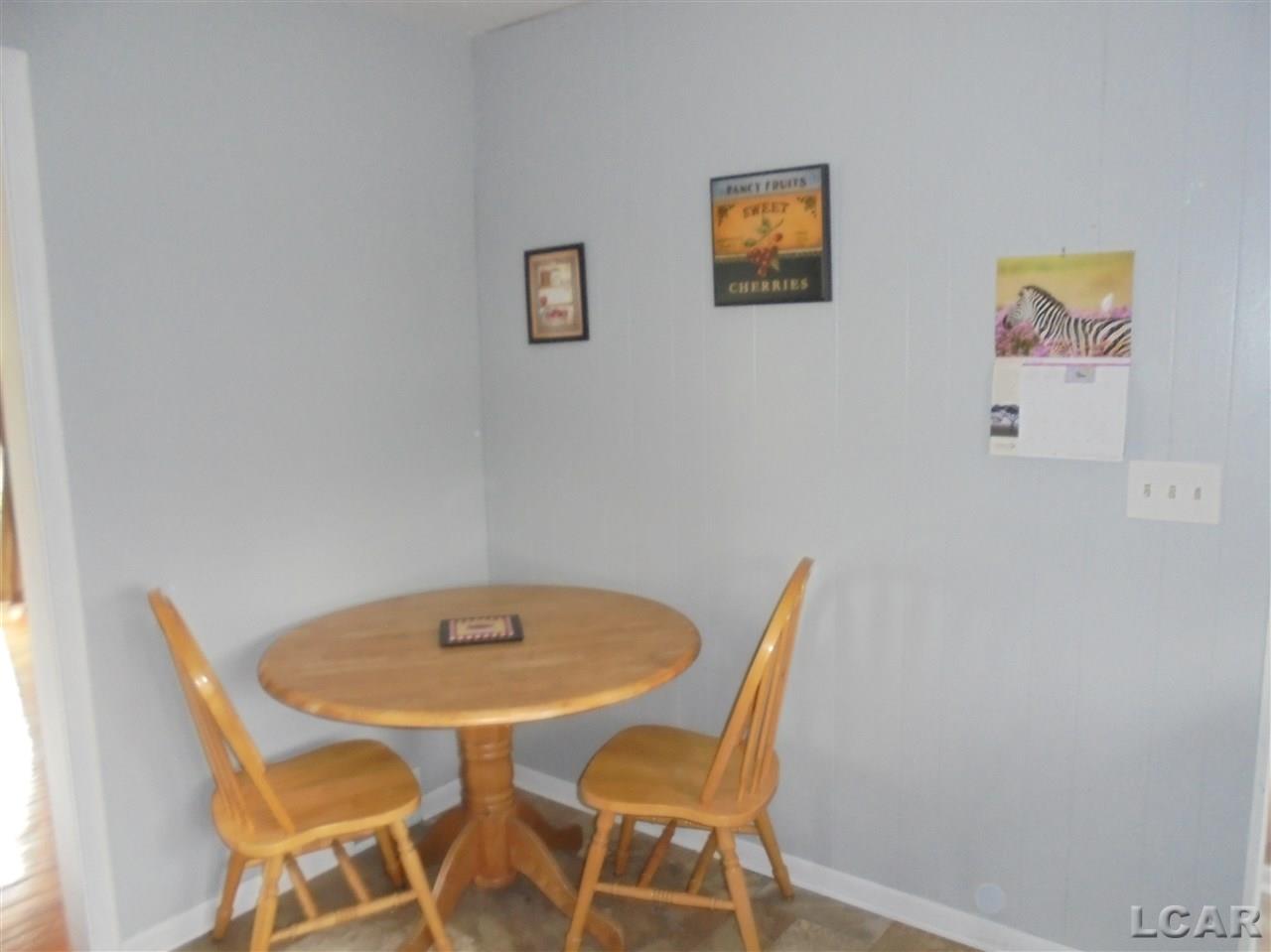 710 Ternes Road Tecumseh, MI 49286 - Photo 8 of 22 31288692-7.JPG