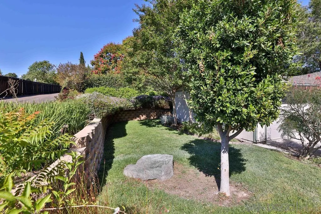 9802 Sierra Madre Road Spring Valley, CA 91977 - Photo 3 of 48 a pathway of a yard