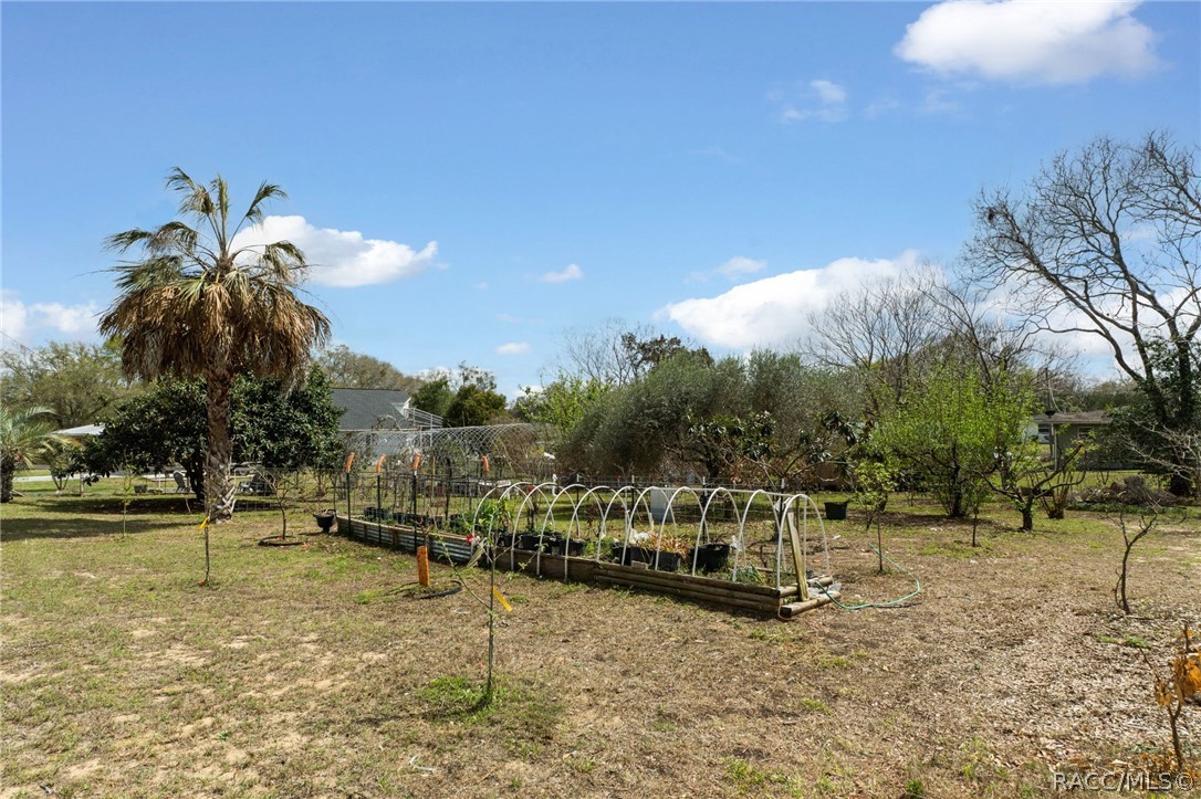 907 Pineaire Street Inverness, FL 34452 - Photo 52 of 57