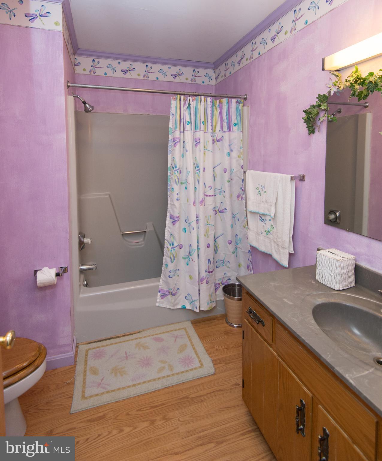 6824 Hunting Creek Road Hurlock, MD 21643 - Photo 25 of 28 Bath
