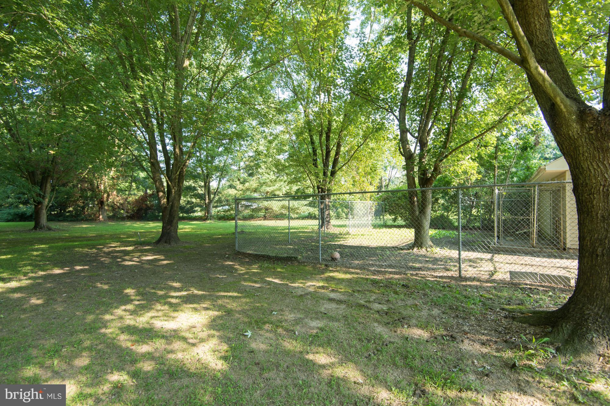 6824 Hunting Creek Road Hurlock, MD 21643 - Photo 5 of 28 Living Room