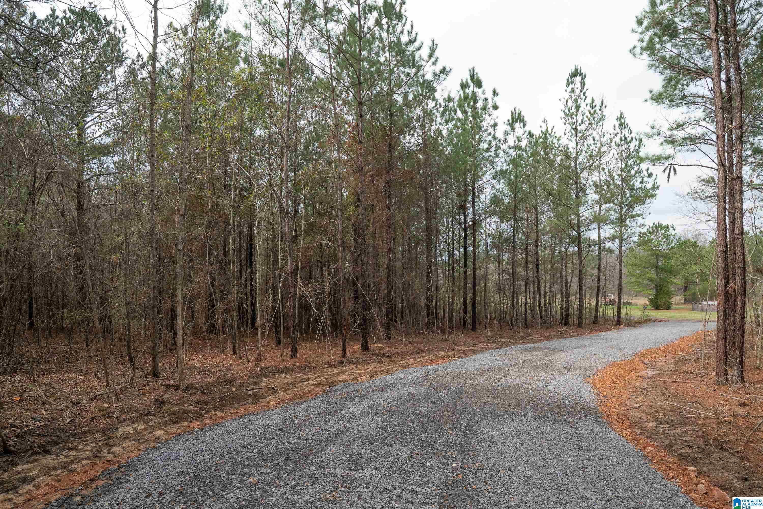 7 Fisher Phillips, Unit 7 Ashville, AL 35953 - Photo 5 of 28