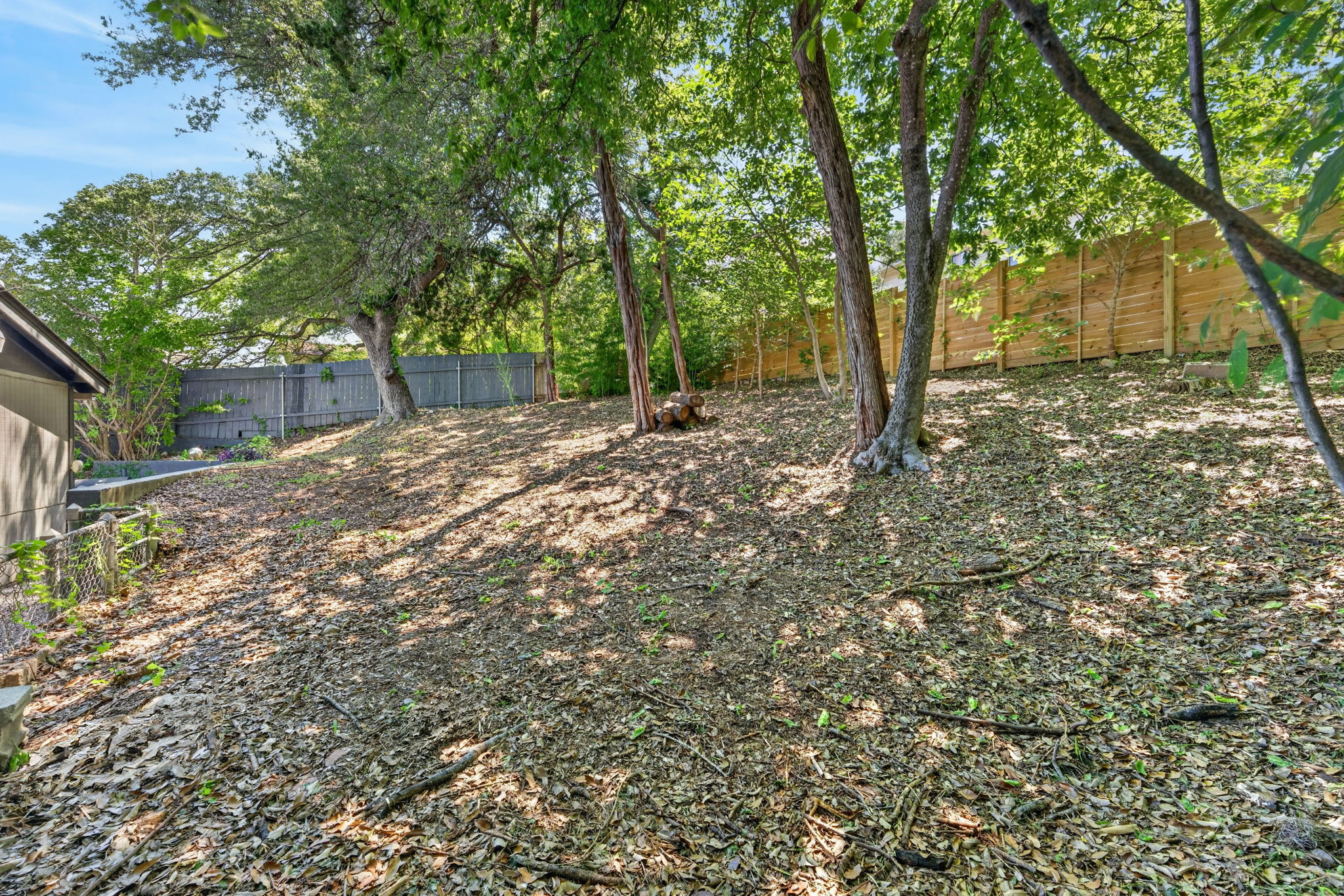 3604 Wilson Street Austin, TX 78704 - Photo 25 of 25 a view of backyard with tree