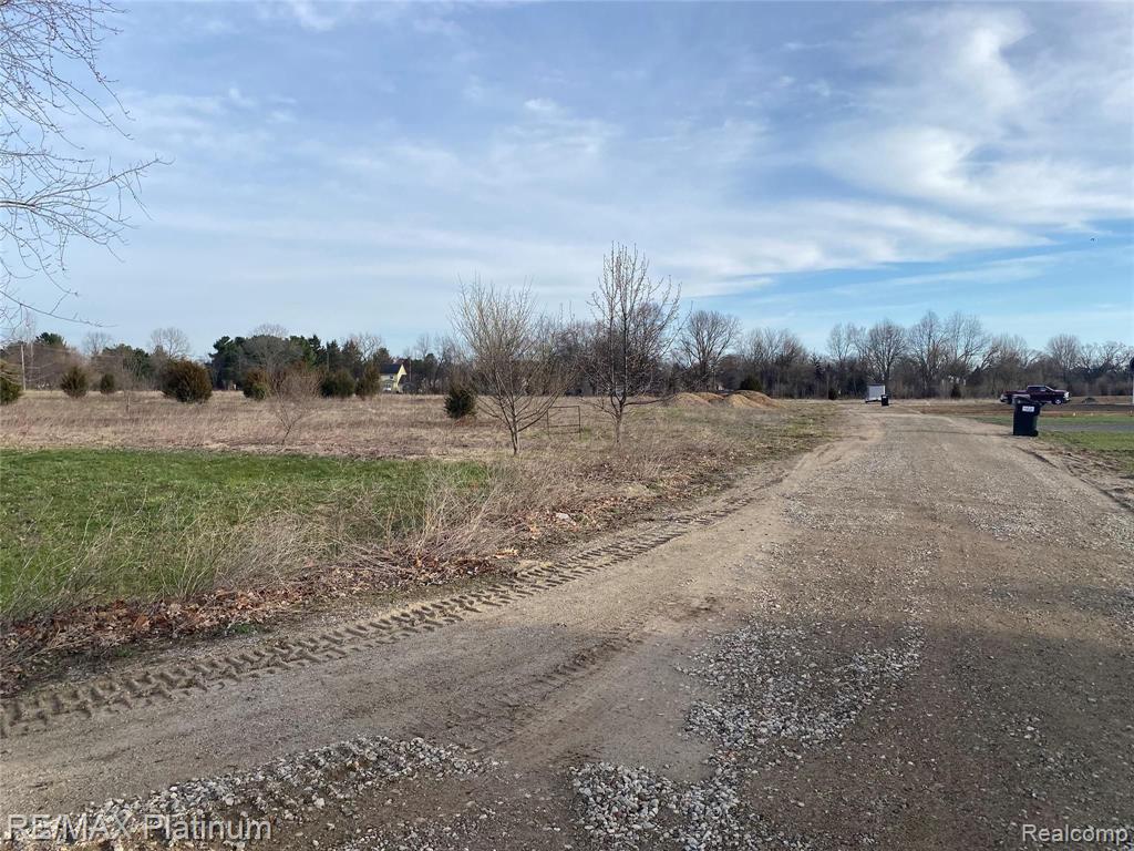 Tbd Pondside Court Pinckney, MI 48169 - Photo 10 of 11