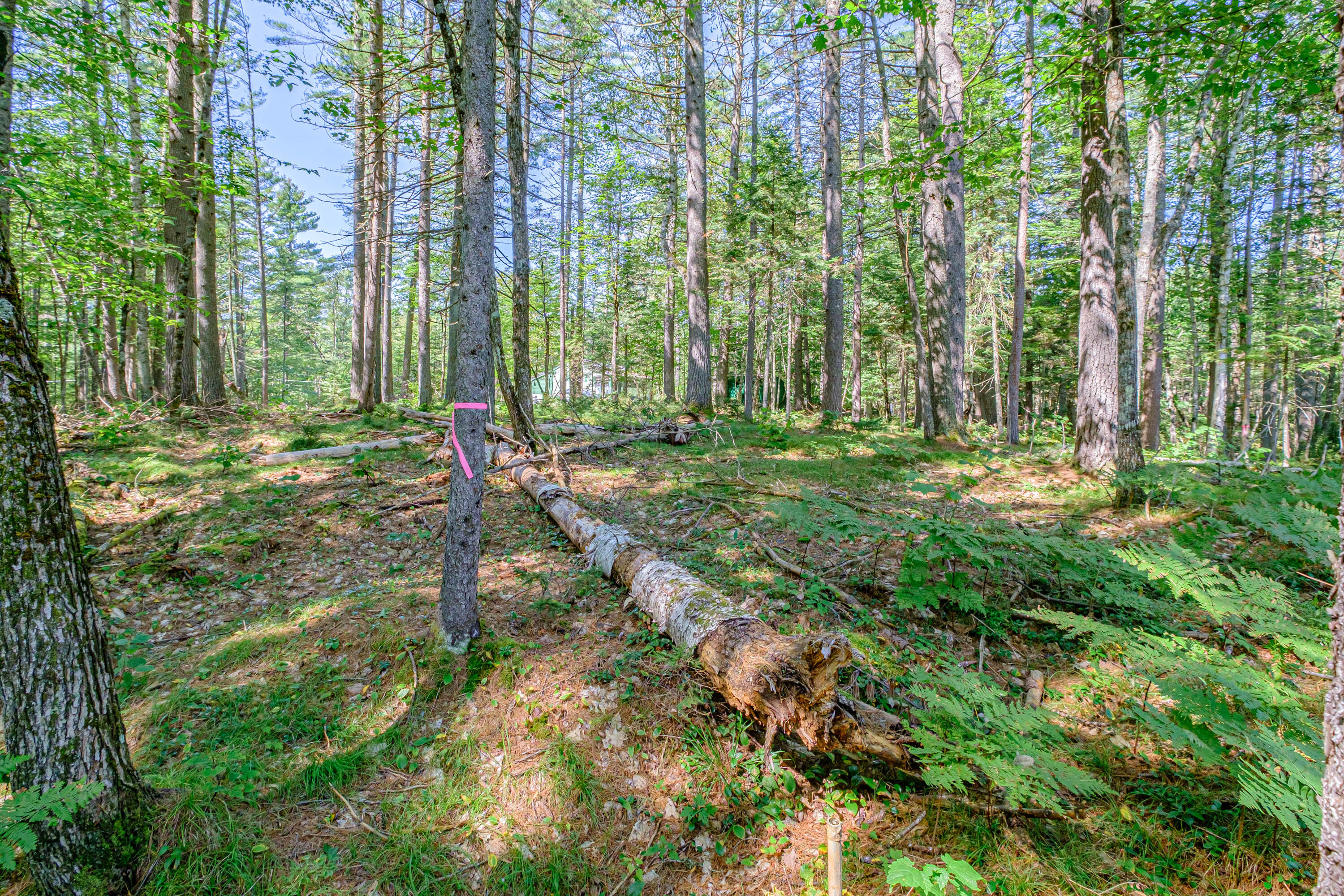349 East Andover Road East Andover, ME 04226 - Photo 12 of 35 20230831gp-62011
