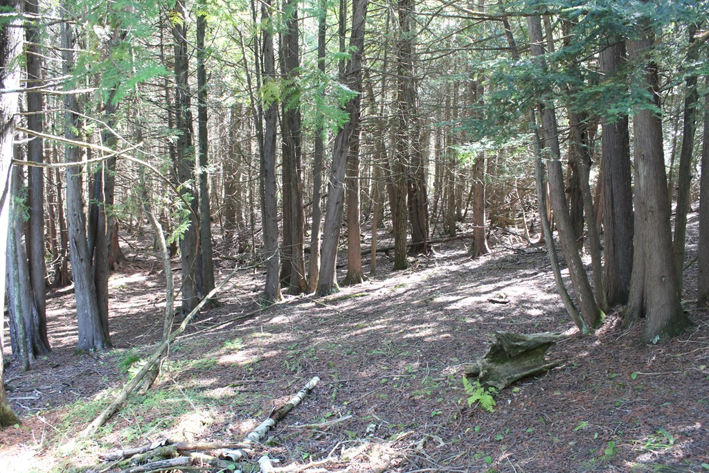 11250 Frontier Road Ellison Bay, WI 54210 - Photo 23 of 27