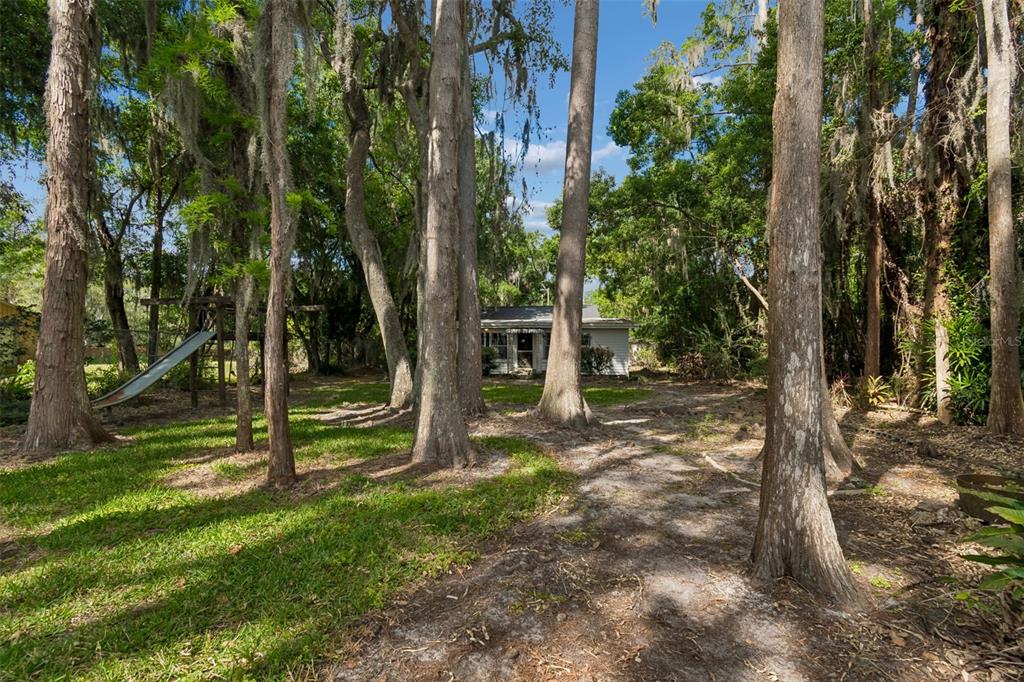 4743 School Road Land O' Lakes, FL 34638 - Photo 43 of 54 Gallery Image 43