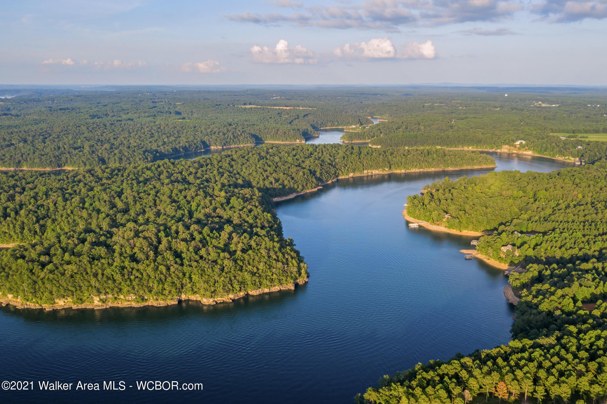 204 County Road Crane Hill, AL 35053 - Photo 1 of 38 Gallery Image 1