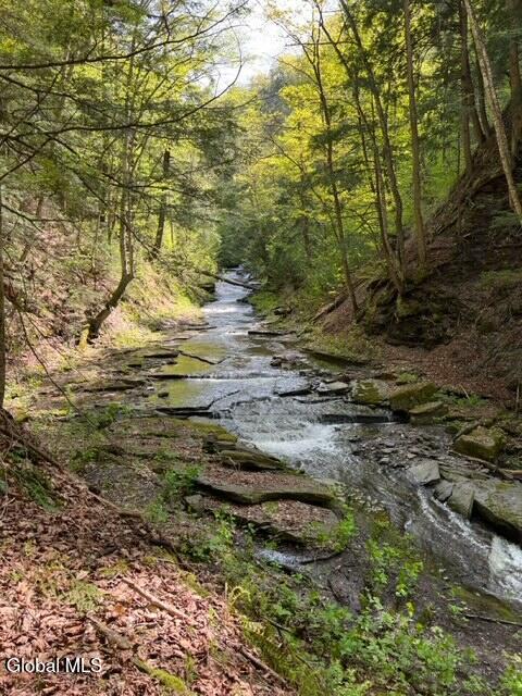L27 Travis Road Jordanville, NY 13361 - Photo 6 of 12 Travis Rd