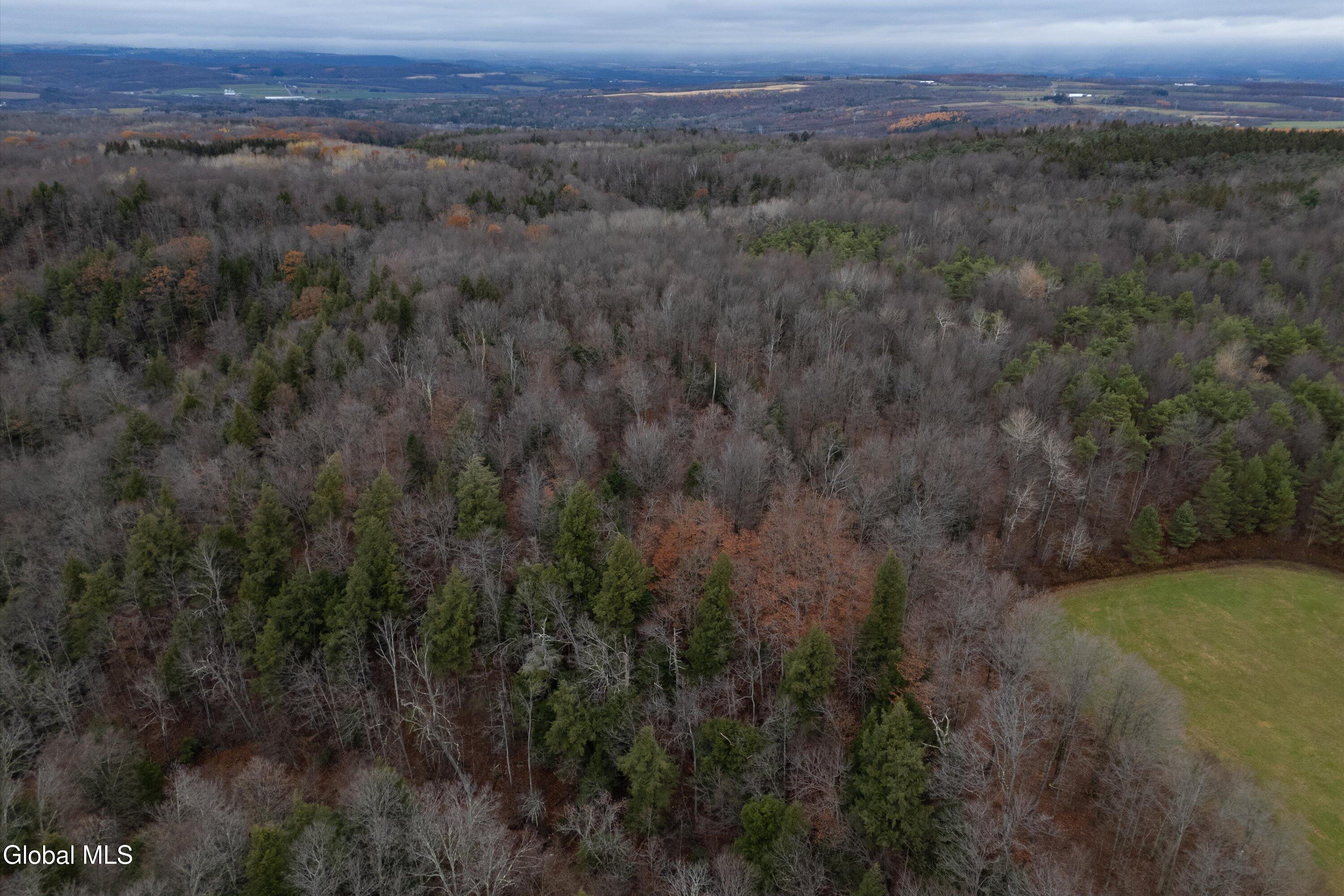 L27 Travis Road Jordanville, NY 13361 - Photo 7 of 12 177.70 acre - Travis Rd lot