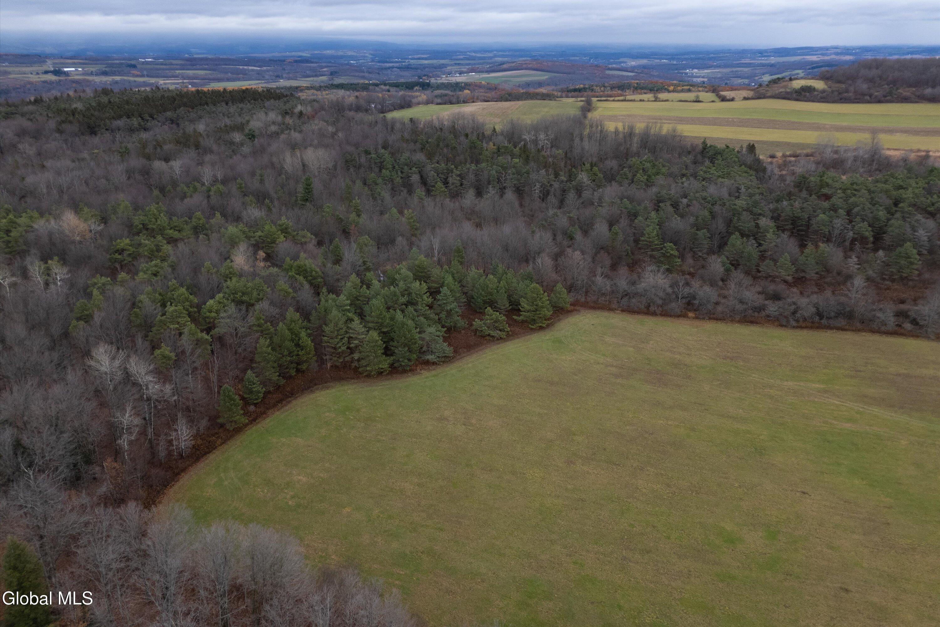 L27 Travis Road Jordanville, NY 13361 - Photo 9 of 12 177.70 acre - Travis Rd lots