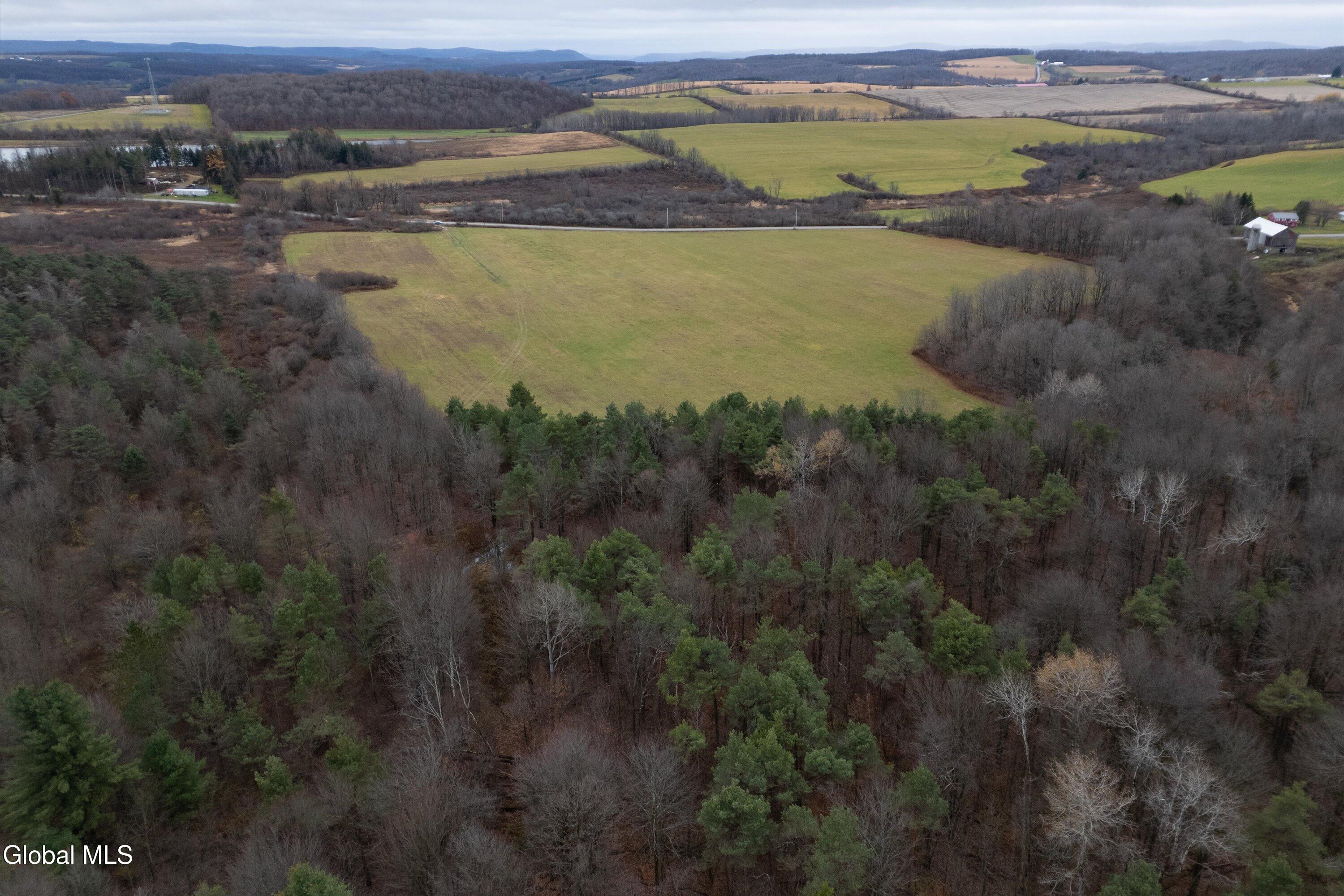 L27 Travis Road Jordanville, NY 13361 - Photo 10 of 12 177.70 acre - Travis Rd lot