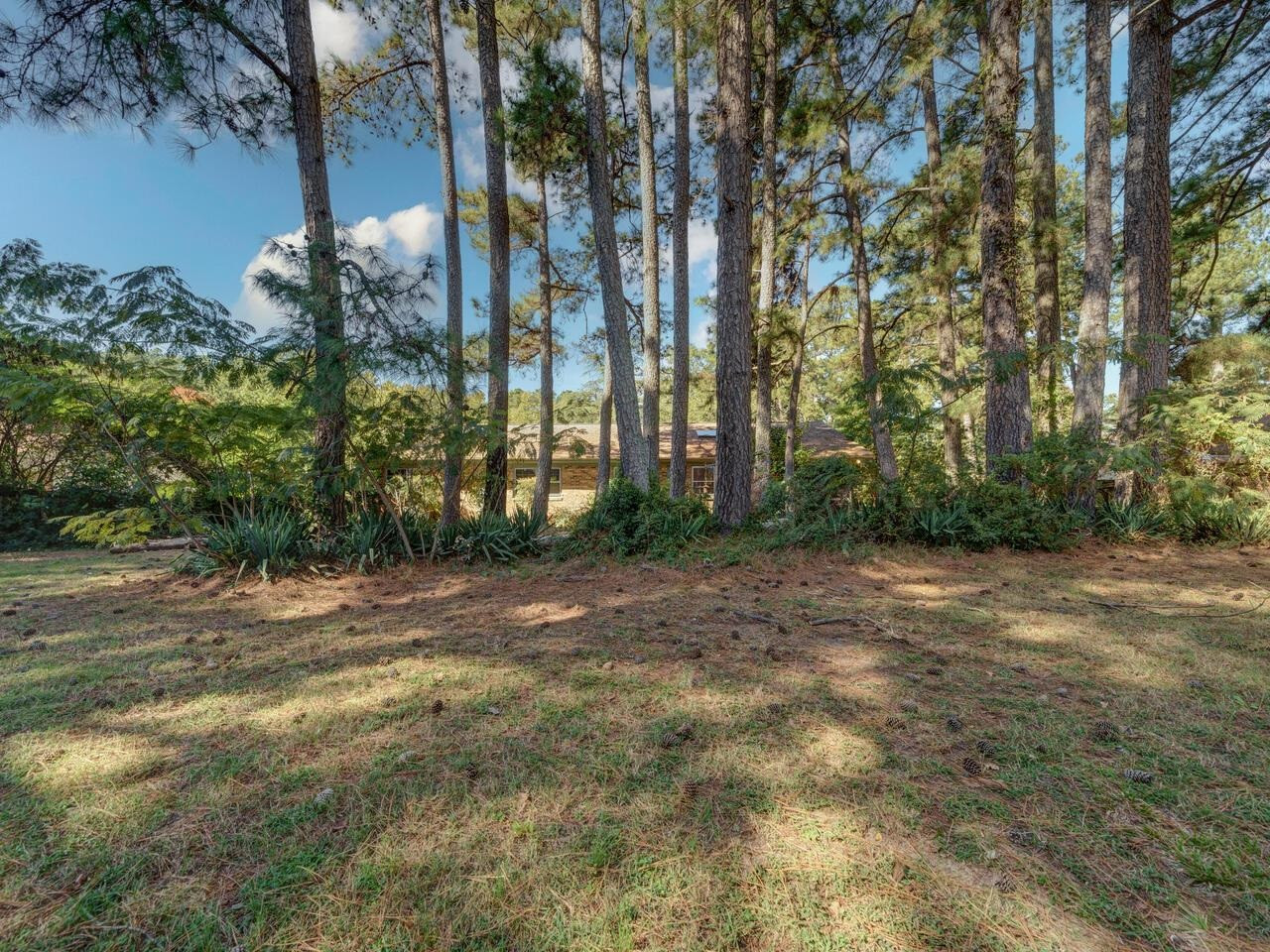 3115 Hope Valley Road Durham, NC 27707 - Photo 37 of 42 Photo 37