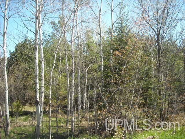 Tbd County Trunk C Road, Unit 500 Hurley, WI 54534 - Photo 4 of 4