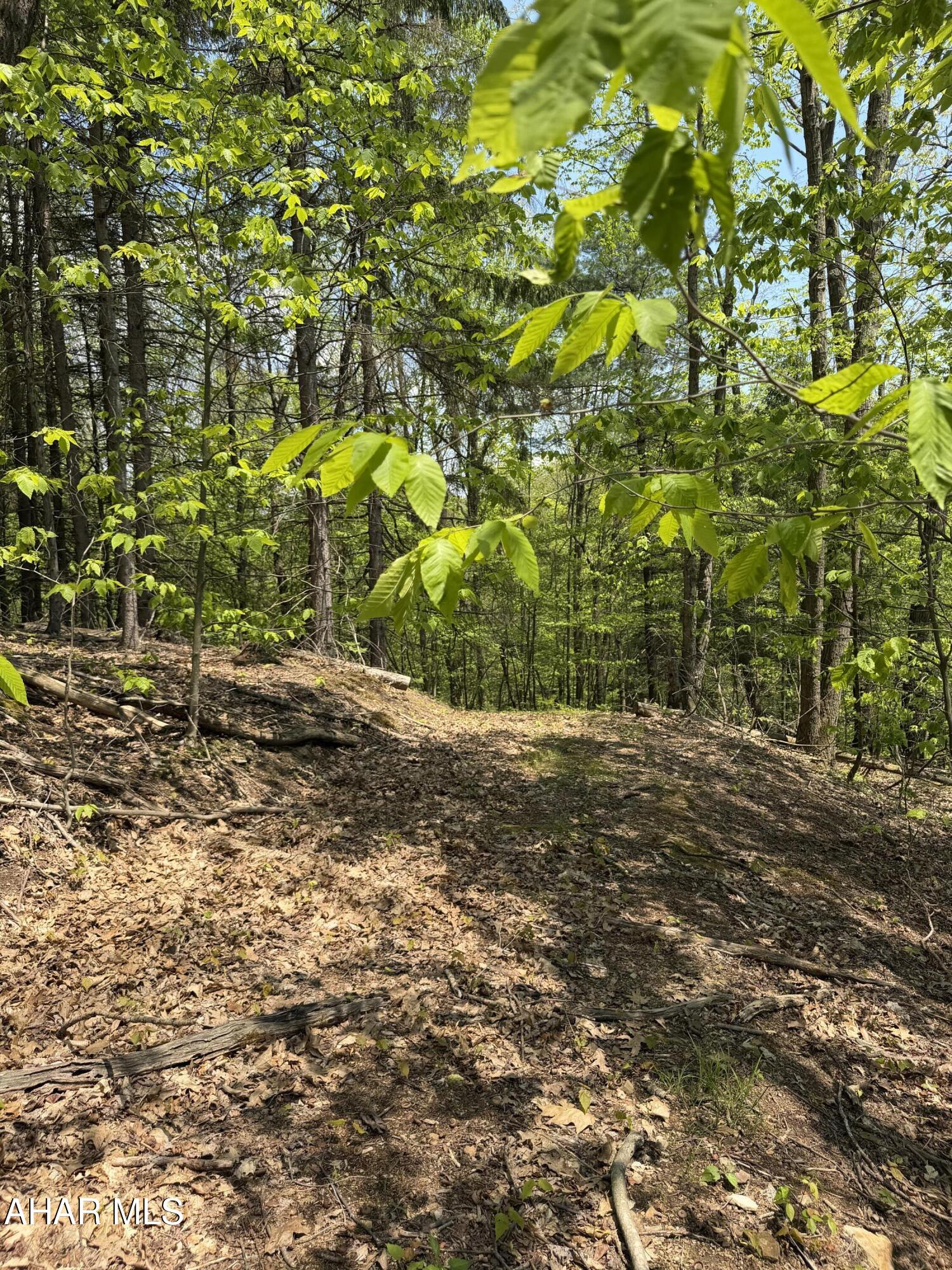 1438 Watt Road Gallitzin, PA 16641 - Photo 45 of 60