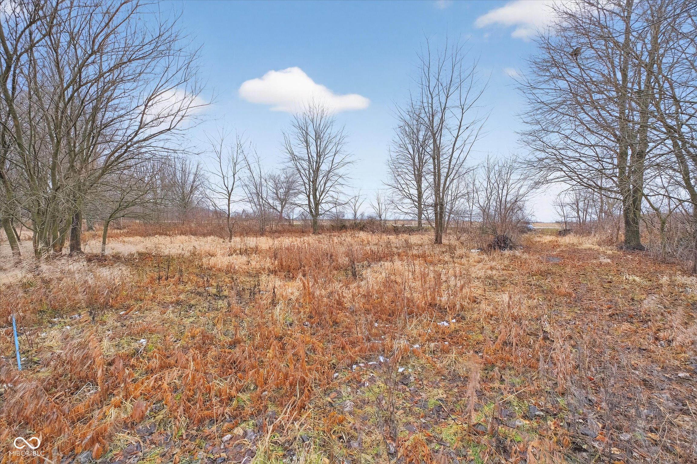 3875 Highway 421 Whitestown, IN 46075 - Photo 4 of 14