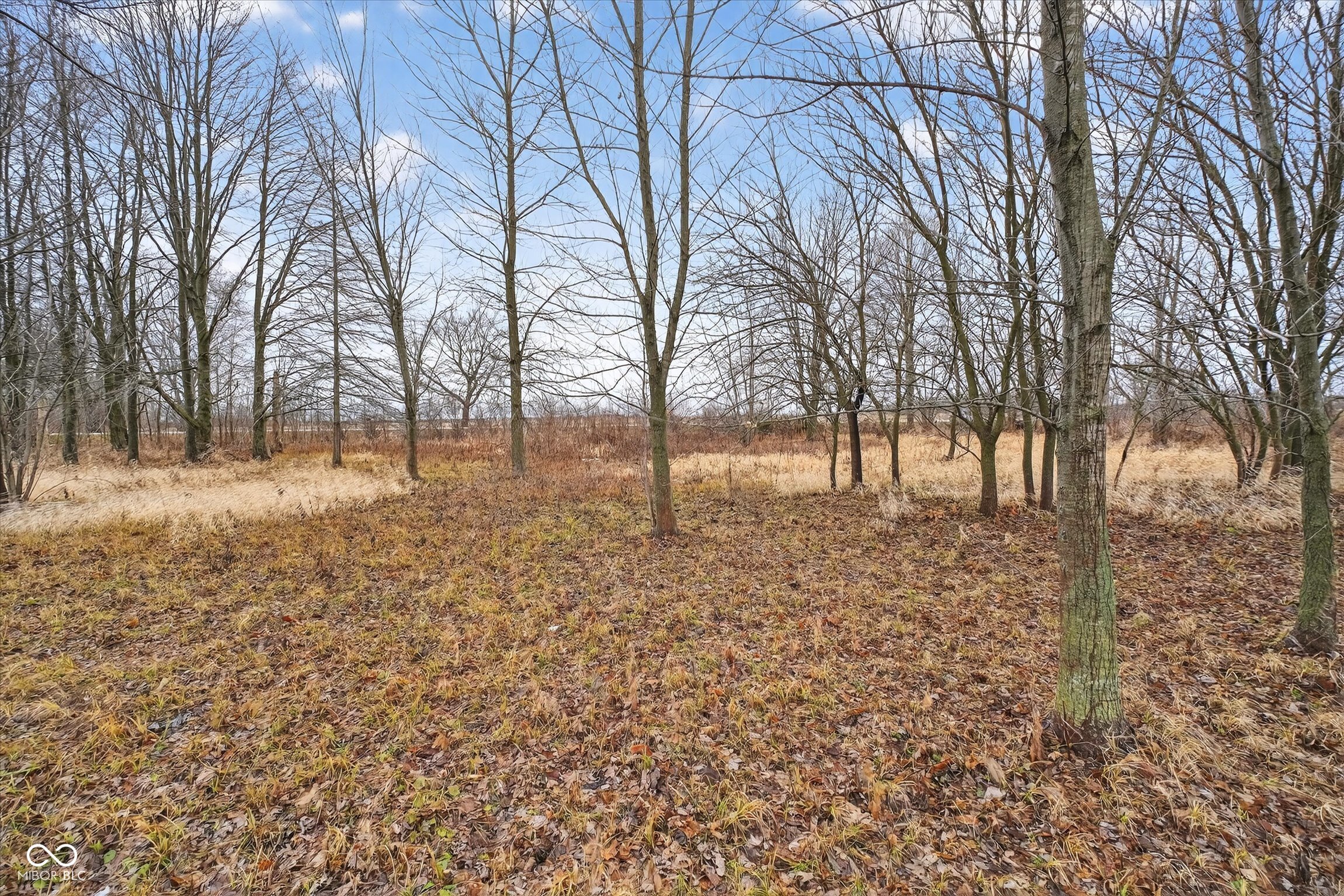 3875 Highway 421 Whitestown, IN 46075 - Photo 5 of 14