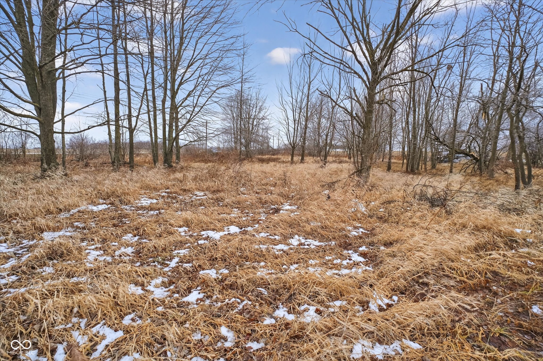 3875 Highway 421 Whitestown, IN 46075 - Photo 8 of 14