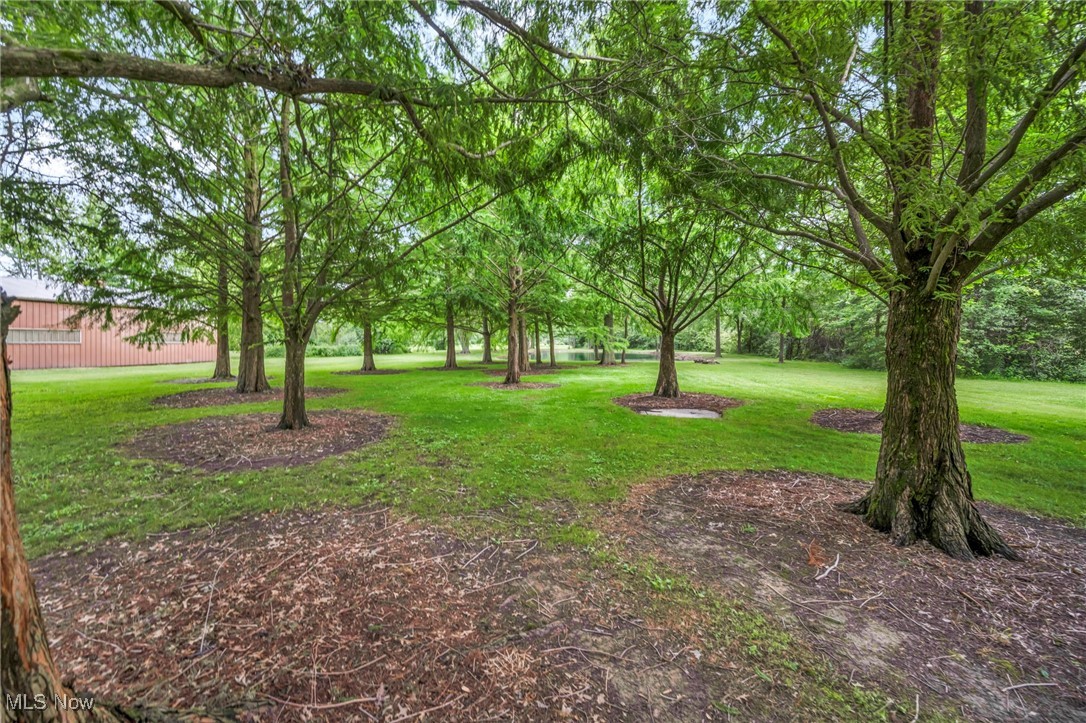 13962 Quarry Road Oberlin, OH 44074 - Photo 39 of 43 View of green lawn