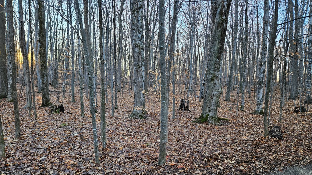 Lot #28 Daisy Patch Road Fish Creek, WI 54212 - Photo 2 of 4 Gallery Image 2