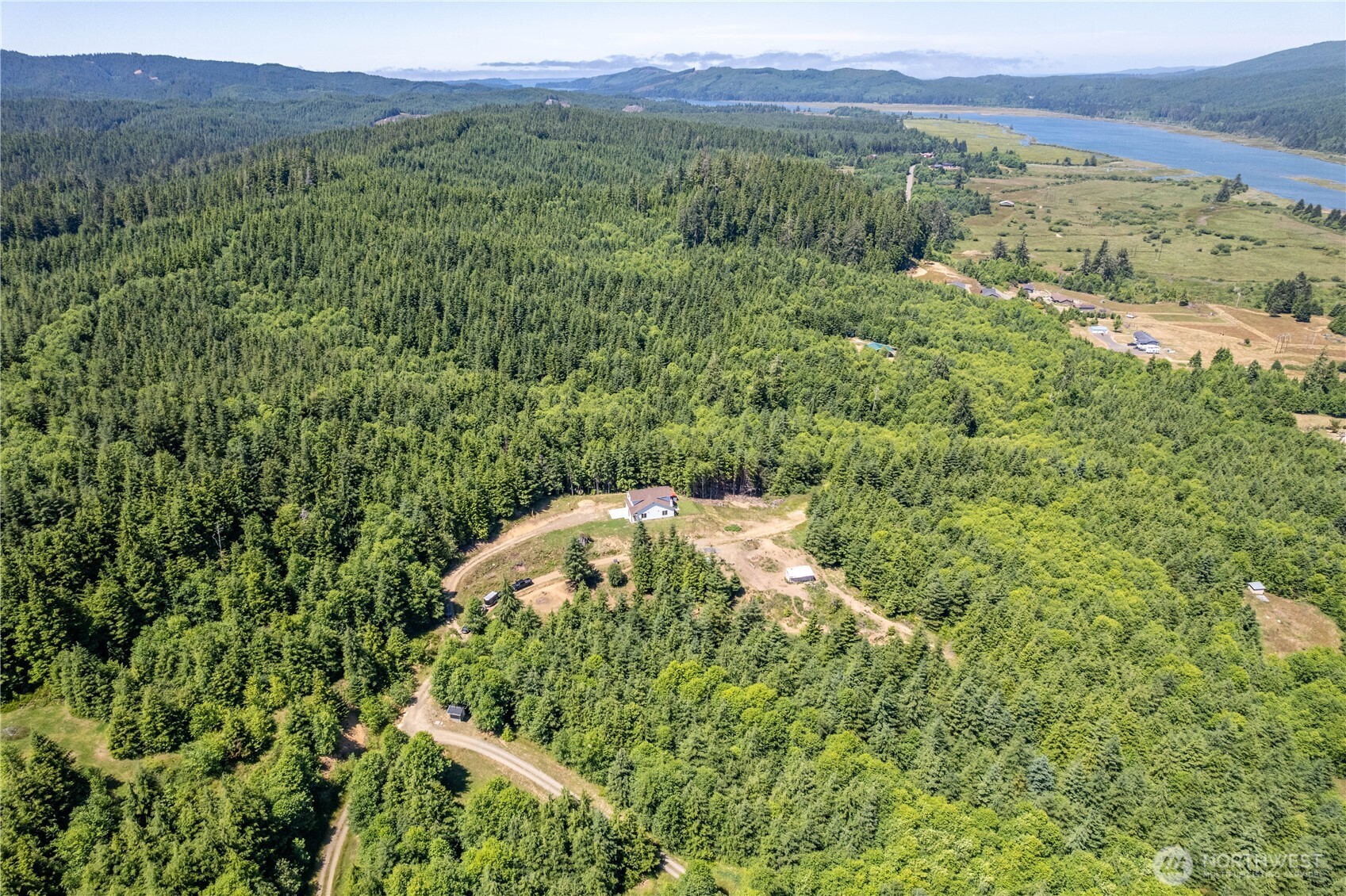 327 Parpala Road Naselle, WA 98638 - Photo 34 of 36 a view of a lush green forest with trees and some houses
