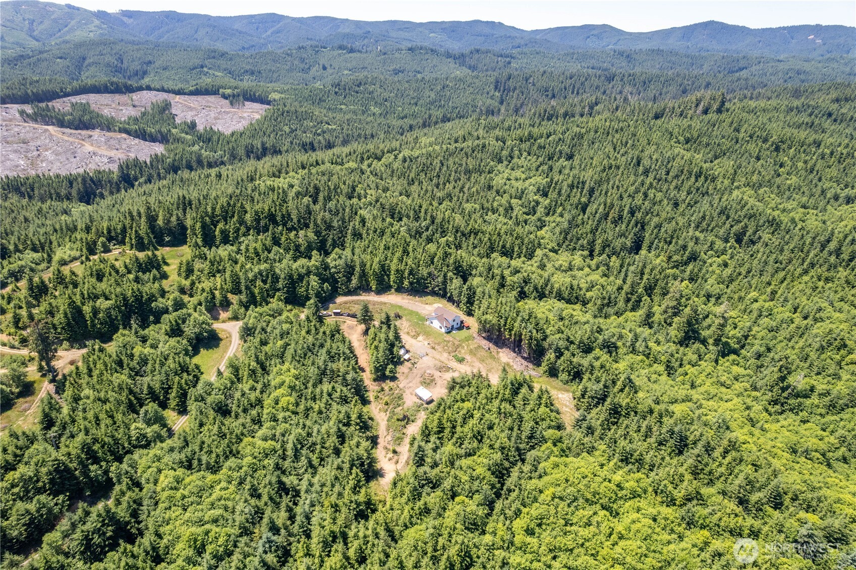 327 Parpala Road Naselle, WA 98638 - Photo 35 of 36 a view of a lush green field