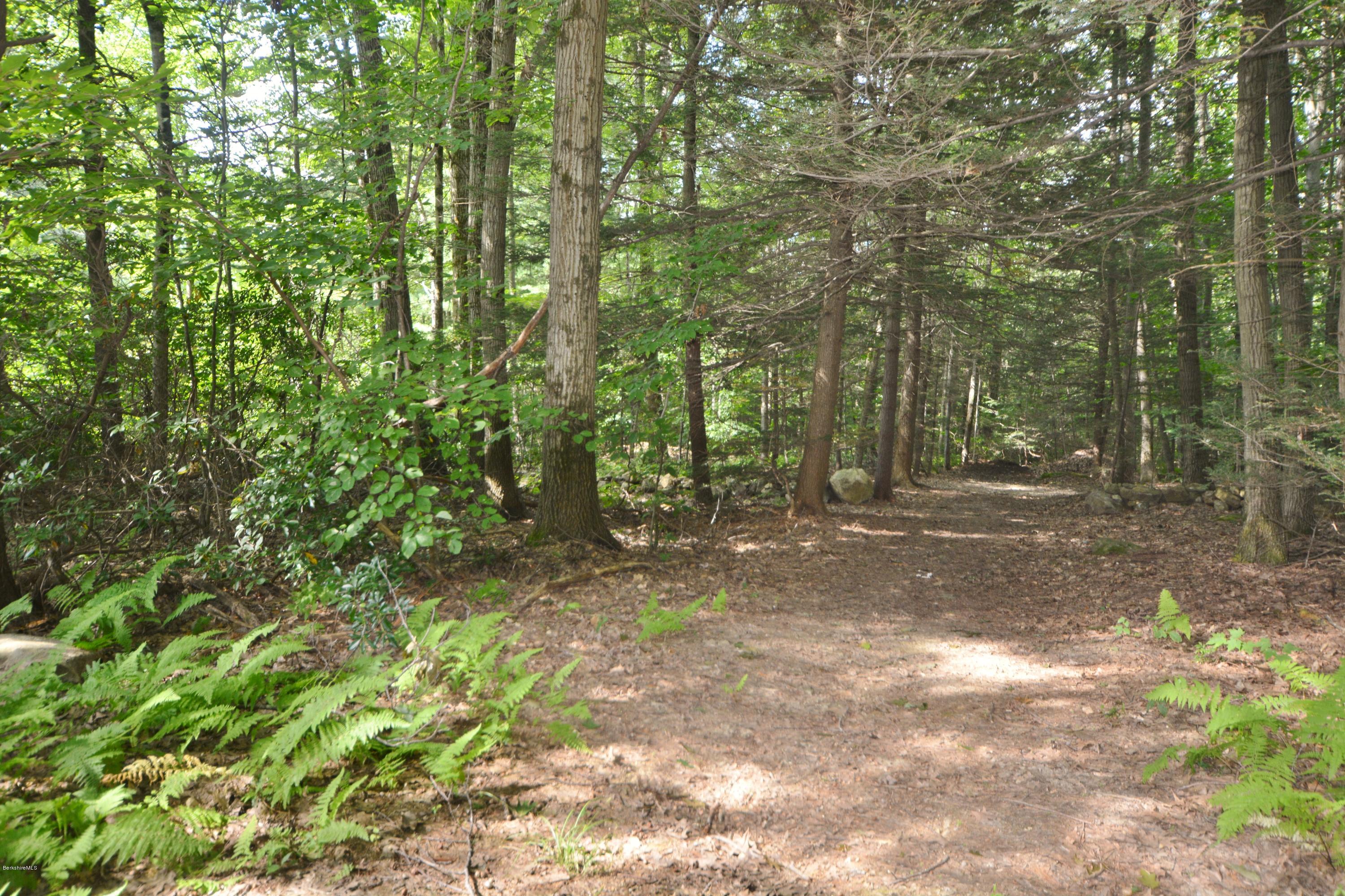 17 Gore Road Blandford, MA 01008 - Photo 20 of 27 Trails