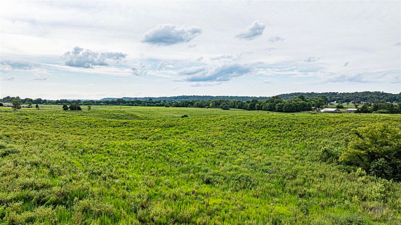 Lot 9 Rocky Hill Road Bowling Green, KY 42101 - Photo 4 of 14 Gallery Image 4