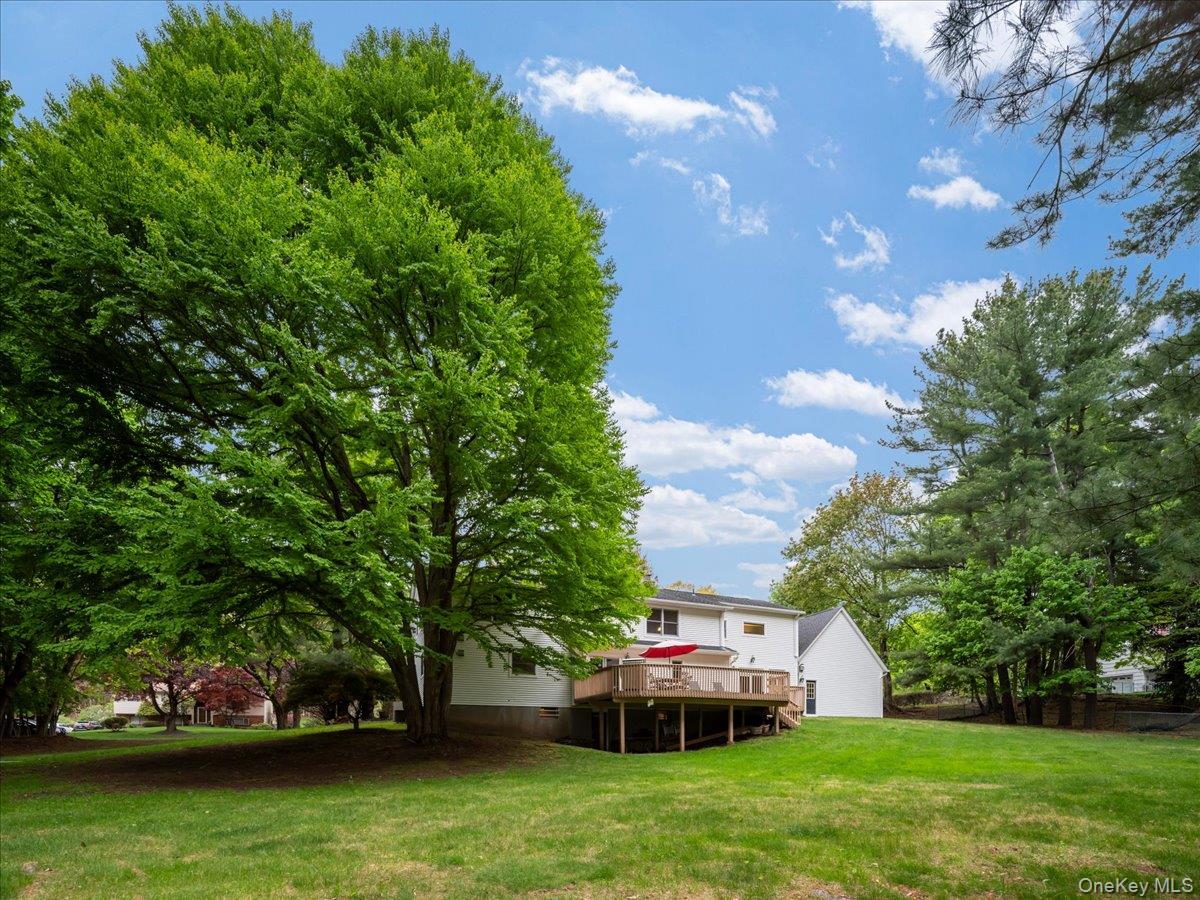 10 Rockingham Road Spring Valley, NY 10977 - Photo 43 of 48