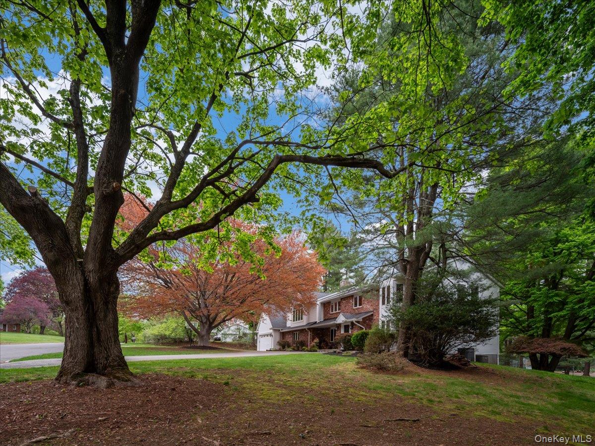 10 Rockingham Road Spring Valley, NY 10977 - Photo 44 of 48