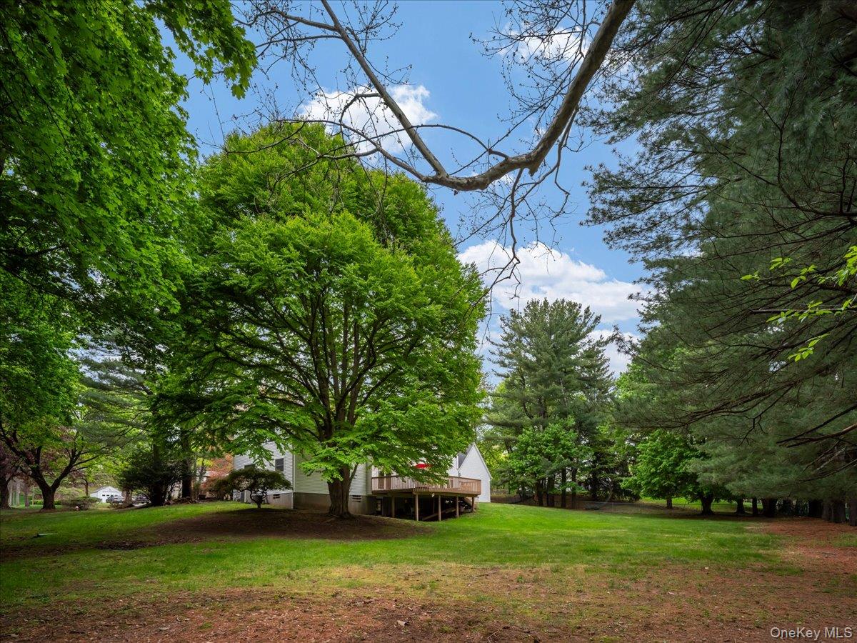 10 Rockingham Road Spring Valley, NY 10977 - Photo 45 of 48