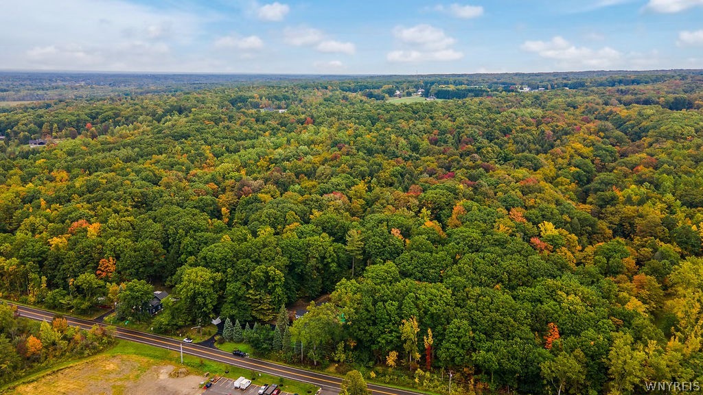 7015 South Abbott Road Boston, NY 14075 - Photo 49 of 49 View of the woods behind the home