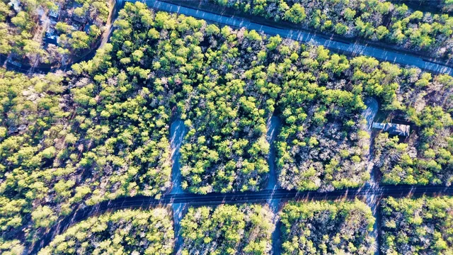 a view of a park with large trees