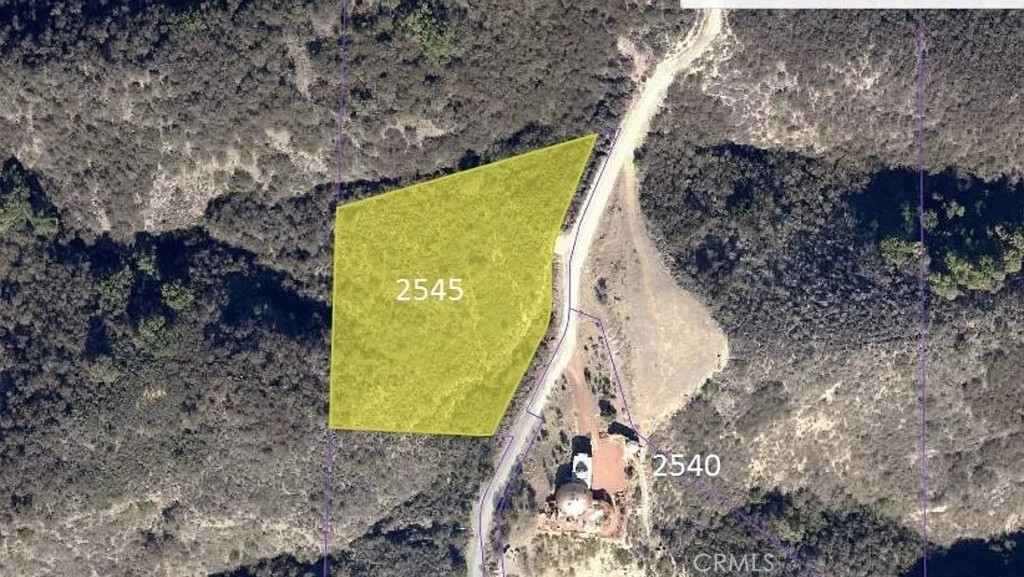 a view of a yard with plants