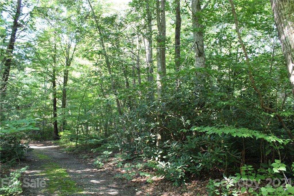 1851 Linville River Road Nebo, NC 28761 - Photo 2 of 7 Gallery Image 2