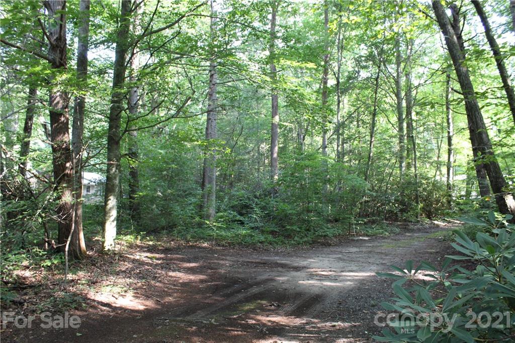 1851 Linville River Road Nebo, NC 28761 - Photo 3 of 7 Gallery Image 3