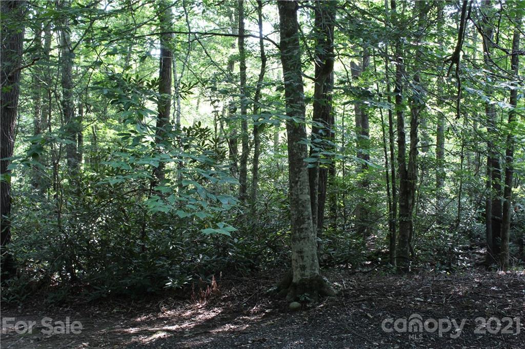 1851 Linville River Road Nebo, NC 28761 - Photo 4 of 7 Gallery Image 4