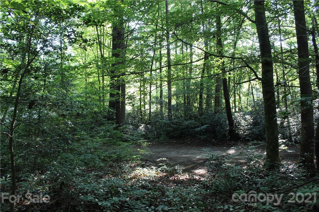 1851 Linville River Road Nebo, NC 28761 - Photo 5 of 7 Gallery Image 5